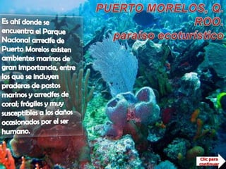 PUERTO MORELOS, Q. ROO.paraíso ecoturísticoEs ahí donde se encuentra el Parque Nacional arrecife de Puerto Morelos existen ambientes marinos de gran importancia, entre los que se incluyen praderas de pastos marinos y arrecifes de coral; frágiles y muy susceptibles a los daños ocasionados por el ser humano.Es una de las regiones más bellas del Caribe mexicano, donde la densa vegetación devora los caminos y cientos de aves cruzan el intenso cielo azul, se encuentra el apacible poblado del Puerto Morelos, en el estado de Quintana Roo.Clic para continuar