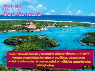 Xel-Ha es la naturaleza como nunca nadie ha sentido antes. Xel-HáMaravilla NaturalUn lugar para compartir en la celebración de la riqueza biológica de la Riviera Maya. Nuestra Maravilla Natural y su acuario abierto ofrecen una gran variedad de actividades terrestres y acuáticas, atracciones ecológicas, restaurantes de clase mundial, y múltiples experiencias  inimaginables. Clic para continuar