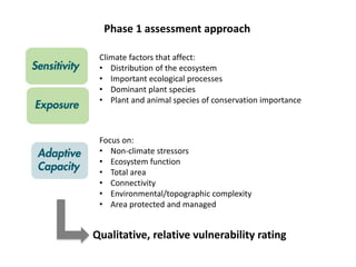 Phase 1 assessment approach
Climate factors that affect:
• Distribution of the ecosystem
• Important ecological processes
• Dominant plant species
• Plant and animal species of conservation importance
Focus on:
• Non-climate stressors
• Ecosystem function
• Total area
• Connectivity
• Environmental/topographic complexity
• Area protected and managed
Qualitative, relative vulnerability rating
 