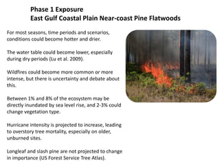 Phase 1 Exposure
East Gulf Coastal Plain Near-coast Pine Flatwoods
For most seasons, time periods and scenarios,
conditions could become hotter and drier.
The water table could become lower, especially
during dry periods (Lu et al. 2009).
Wildfires could become more common or more
intense, but there is uncertainty and debate about
this.
Between 1% and 8% of the ecosystem may be
directly inundated by sea level rise, and 2-3% could
change vegetation type.
Hurricane intensity is projected to increase, leading
to overstory tree mortality, especially on older,
unburned sites.
Longleaf and slash pine are not projected to change
in importance (US Forest Service Tree Atlas).
 
