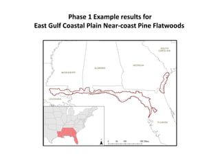 Phase 1 Example results for
East Gulf Coastal Plain Near-coast Pine Flatwoods
 