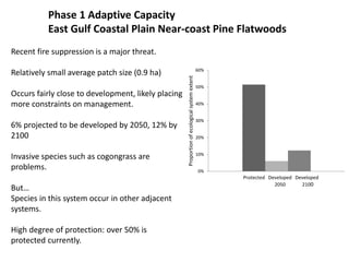 Phase 1 Adaptive Capacity
East Gulf Coastal Plain Near-coast Pine Flatwoods
Recent fire suppression is a major threat.
Relatively small average patch size (0.9 ha)
Occurs fairly close to development, likely placing
more constraints on management.
6% projected to be developed by 2050, 12% by
2100
Invasive species such as cogongrass are
problems.
But…
Species in this system occur in other adjacent
systems.
High degree of protection: over 50% is
protected currently.
0%
10%
20%
30%
40%
50%
60%
Proportionofecologicalsystemextent
Protected Developed Developed
2050 2100
 