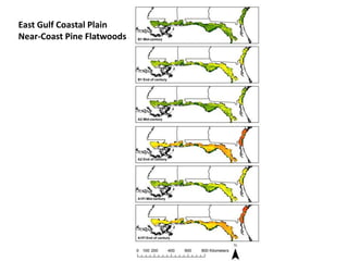East Gulf Coastal Plain
Near-Coast Pine Flatwoods
 