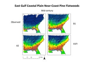 East Gulf Coastal Plain Near-Coast Pine Flatwoods
Observed
B1
A2
A1FI
Mid-century
 
