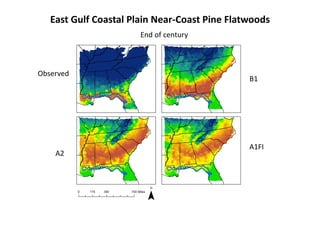 East Gulf Coastal Plain Near-Coast Pine Flatwoods
Observed
B1
A2
A1FI
End of century
 