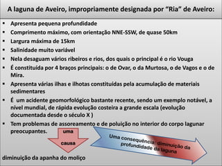  Apresenta pequena profundidade
 Comprimento máximo, com orientação NNE-SSW, de quase 50km
 Largura máxima de 15km
 Salinidade muito variável
 Nela desaguam vários ribeiros e rios, dos quais o principal é o rio Vouga
 É constituída por 4 braços principais: o de Ovar, o da Murtosa, o de Vagos e o de
Mira.
 Apresenta várias ilhas e ilhotas constituídas pela acumulação de materiais
sedimentares
 É um acidente geomorfológico bastante recente, sendo um exemplo notável, a
nível mundial, de rápida evolução costeira a grande escala (evolução
documentada desde o século X )
 Tem problemas de assoreamento e de poluição no interior do corpo lagunar
preocupantes.
diminuição da apanha do moliço
A laguna de Aveiro, impropriamente designada por “Ria” de Aveiro:
uma
causa
 