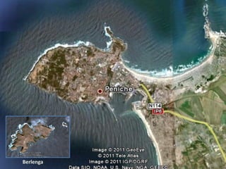 Berlenga
 