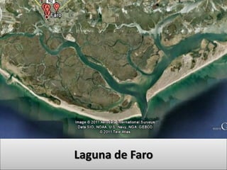 Laguna de Faro
 