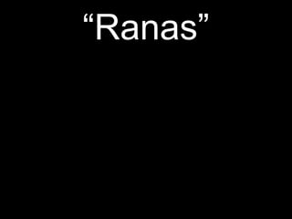 “ Ranas” 