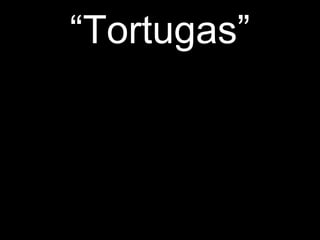 “ Tortugas” 