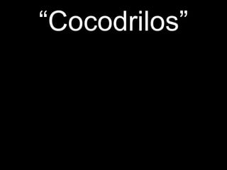 “ Cocodrilos” 