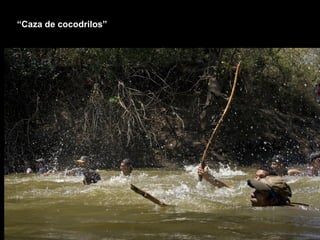 “ Caza de cocodrilos” 
