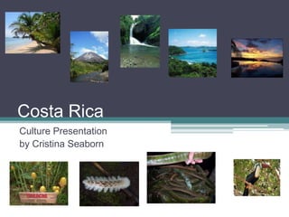 Costa Rica Culture Presentation by Cristina Seaborn 
