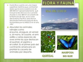  Costa Rica cuenta con una mayor
superficie marítima que continental
dado que la zona oceánica es de
589.000 km² aproximadamente, qué
incluye la Isla del Coco la cual está
situada a unos 480 km al suroeste de
la Península de Osa, en la costa
del Océano Pacífico. Esta isla fue
declarada Patrimonio Natural de la
Humanidad por la UNESCO en el año
1997
 Abundan los animales
salvajes como
el puma, el jaguar, el venad
o, el mono, el coyote, el arm
adillo y varias especies de
aves entre las que destacan
el quetzal, el yigüirro y
el colibrí. Es el primer país del
continente americano en
prohibir la cacería de
animales por deporte.
 