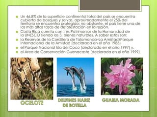  Un 46.8% de la superficie continental total del país se encuentra
cubierta de bosques y selvas, aproximadamente el 25% del
territorio se encuentra protegido; no obstante, el país tiene una de
las más altas tasas de deforestación en la región.
 Costa Rica cuenta con tres Patrimonios de la Humanidad de
la UNESCO siendo los 3, bienes naturales. A saber estos son:
 la Reservas de la Cordillera de Talamanca–La Amistad/Parque
Internacional de la Amistad (declarada en el año 1983)
 el Parque Nacional Isla del Coco (declarada en el año 1997) y,
 el Área de Conservación Guanacaste (declarada en el año 1999)
 