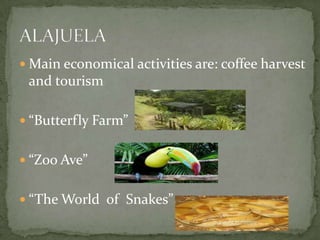  Main economical activities are: coffee harvest
and tourism
 “Butterfly Farm”
 “Zoo Ave”
 “The World of Snakes”
 