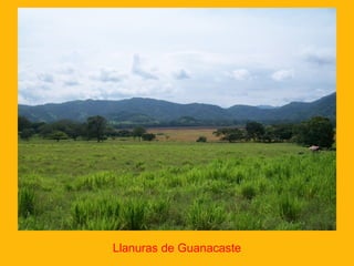 Llanuras de Guanacaste

 