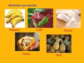 Alimentos que exporta:

Plátanos

Café

Cacao

Azúcar

Piña

 