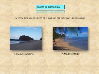 PLAYAS DE COSTA RICA
EN COSTA RICA HAY DOS TIPOS DE PLAYAS: LAS DEL PACIFICO Y LAS DEL CARIBE
PLAYA DEL PACIFICO PLAYA DEL CARIBE
 