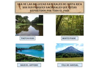 Una de las bellezas naturales de Costa Rica
son sus parques nacionales que están
repartidos por todo el país
Tortuguero Monteverde
Manuel Antonio Volcán arenal
 