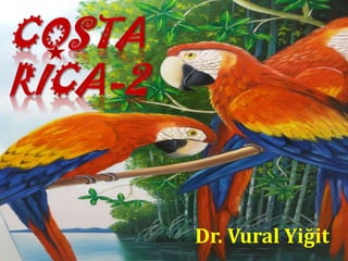Dr. Vural Yiğit
 