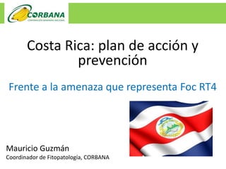 Costa Rica: plan de acción y
prevención
Frente a la amenaza que representa Foc RT4
Mauricio Guzmán
Coordinador de Fitopatología, CORBANA
 