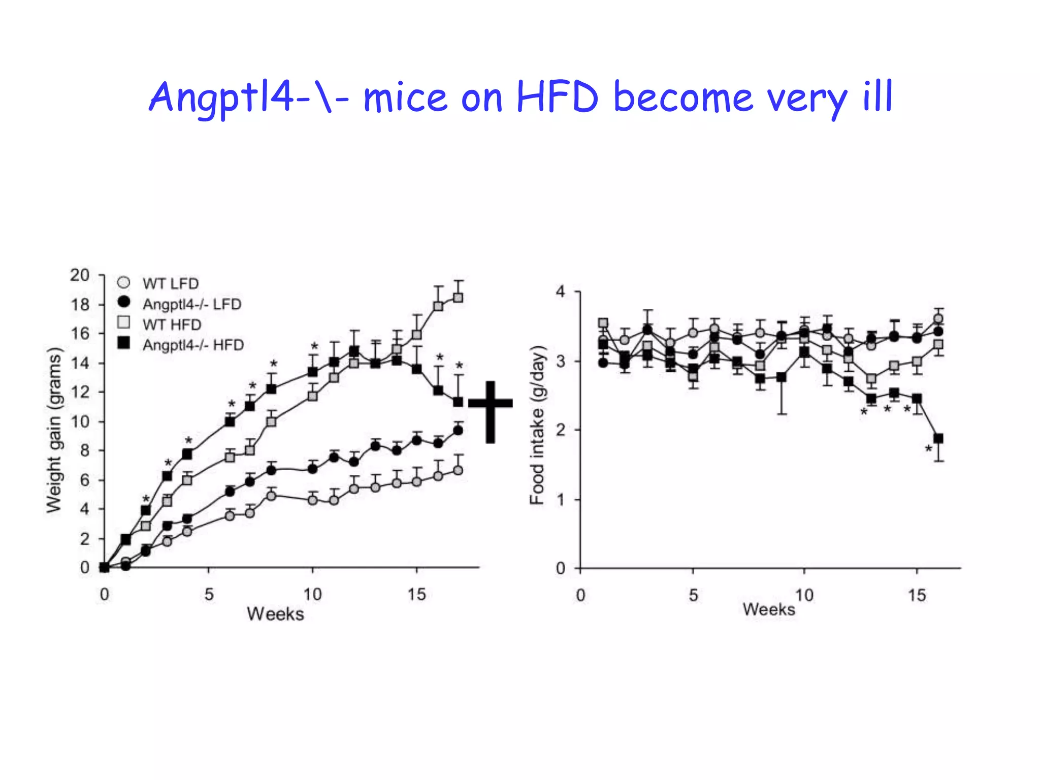 Angptl4-- mice on HFD become very ill
 