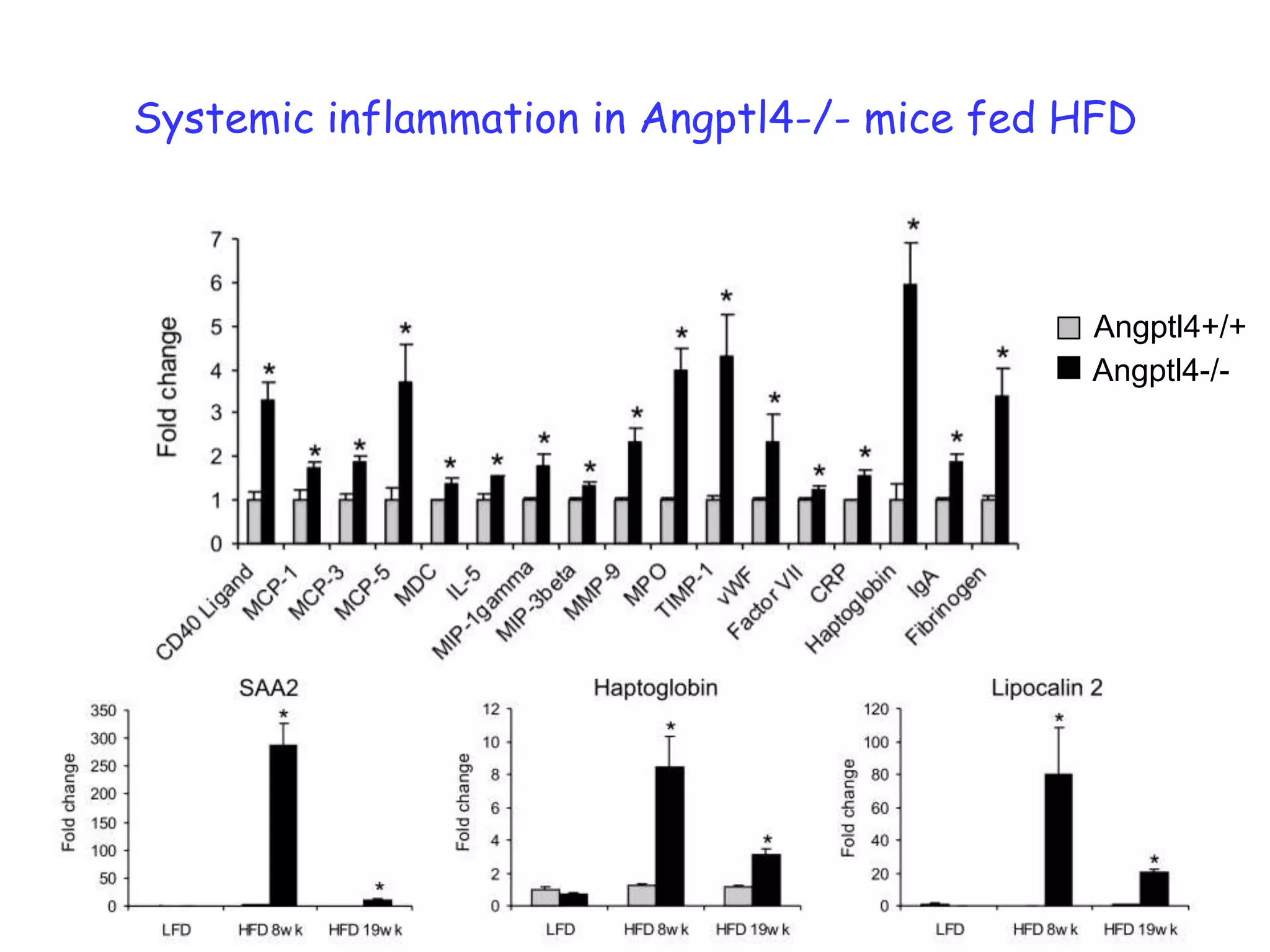 Systemic inflammation in Angptl4-/- mice fed HFD



                                             Angptl4+/+
                                             Angptl4-/-
 