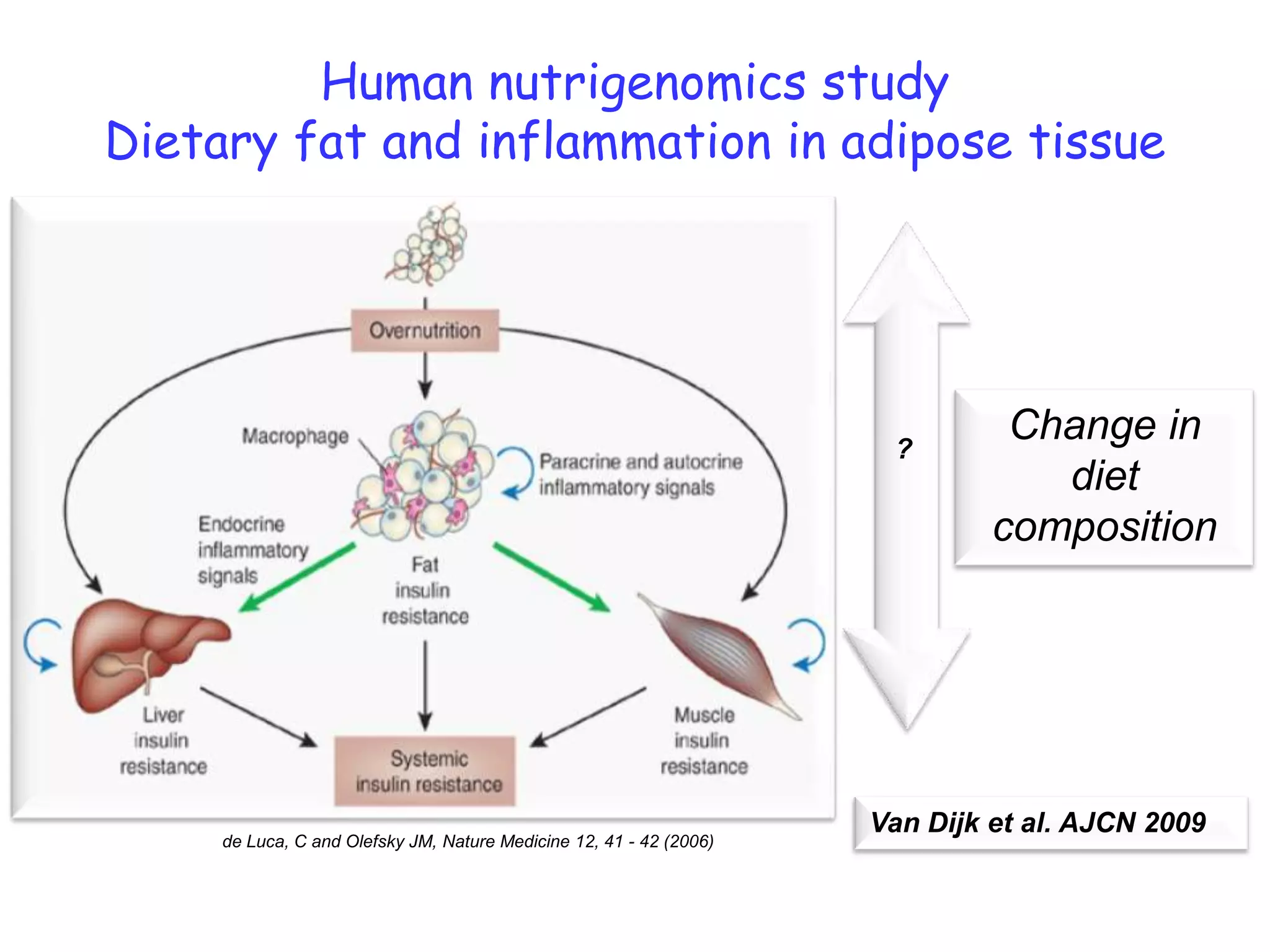 Human nutrigenomics study
Dietary fat and inflammation in adipose tissue




                                                                      ?
                                                                               Change in
                                                                                 diet
                                                                              composition




                                                                     Van Dijk et al. AJCN 2009
     de Luca, C and Olefsky JM, Nature Medicine 12, 41 - 42 (2006)
 