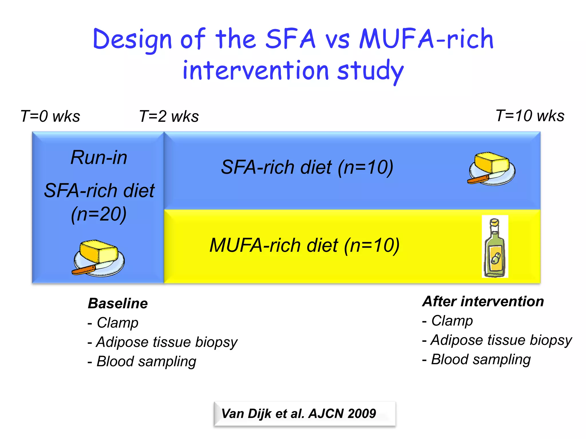 Design of the SFA vs MUFA-rich
                 intervention study
T=0 wks          T=2 wks                                             T=10 wks

     Run-in                   SFA-rich diet (n=10)
  SFA-rich diet
    (n=20)
                            MUFA-rich diet (n=10)

          Baseline                                        After intervention
          - Clamp                                         - Clamp
          - Adipose tissue biopsy                         - Adipose tissue biopsy
          - Blood sampling                                - Blood sampling


                              Van Dijk et al. AJCN 2009
 