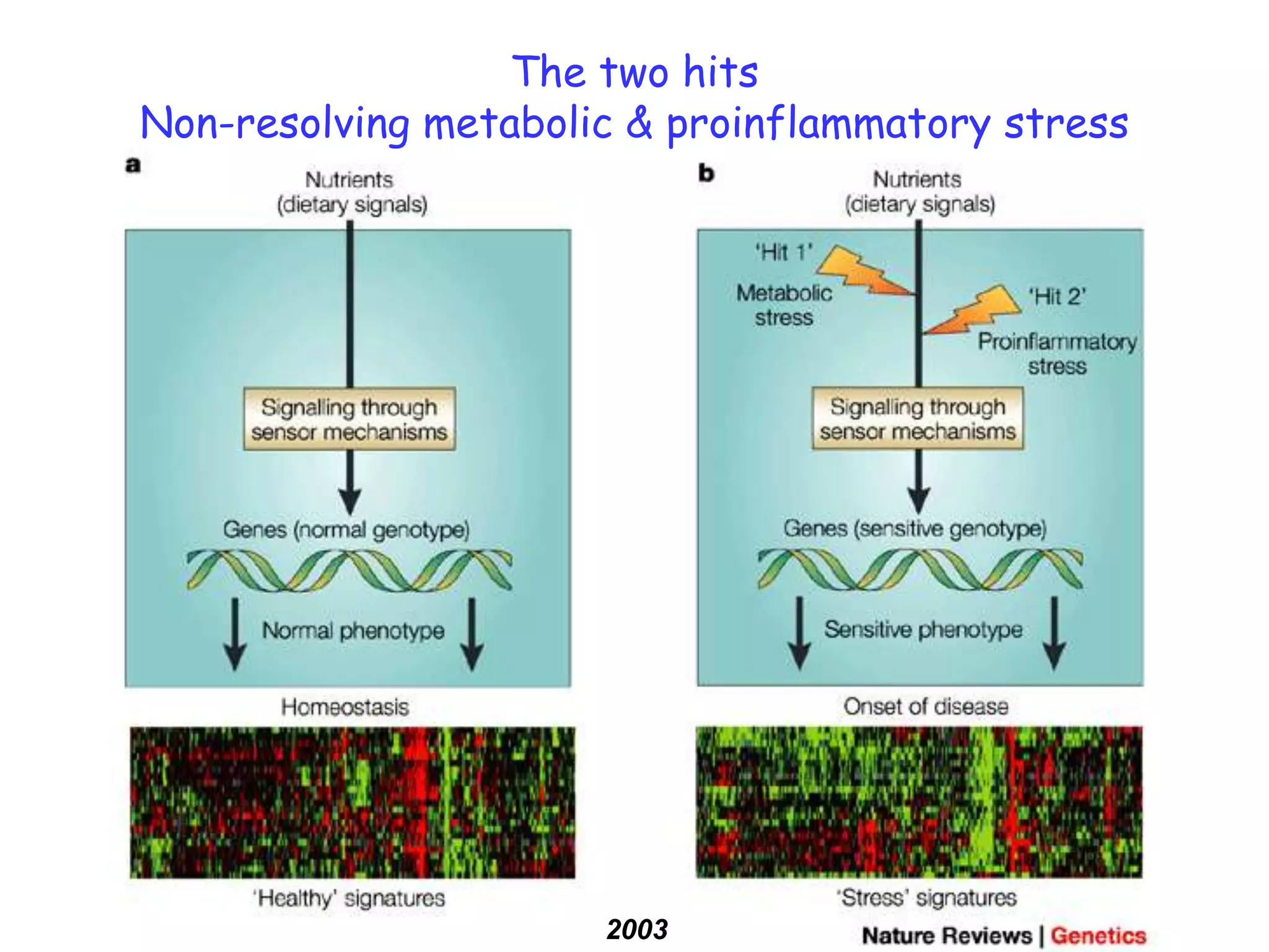 The two hits
Non-resolving metabolic & proinflammatory stress




                      2003
 