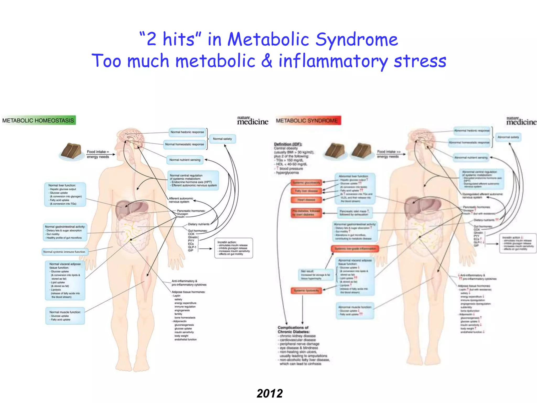 “2 hits” in Metabolic Syndrome
Too much metabolic & inflammatory stress




                  2012
 
