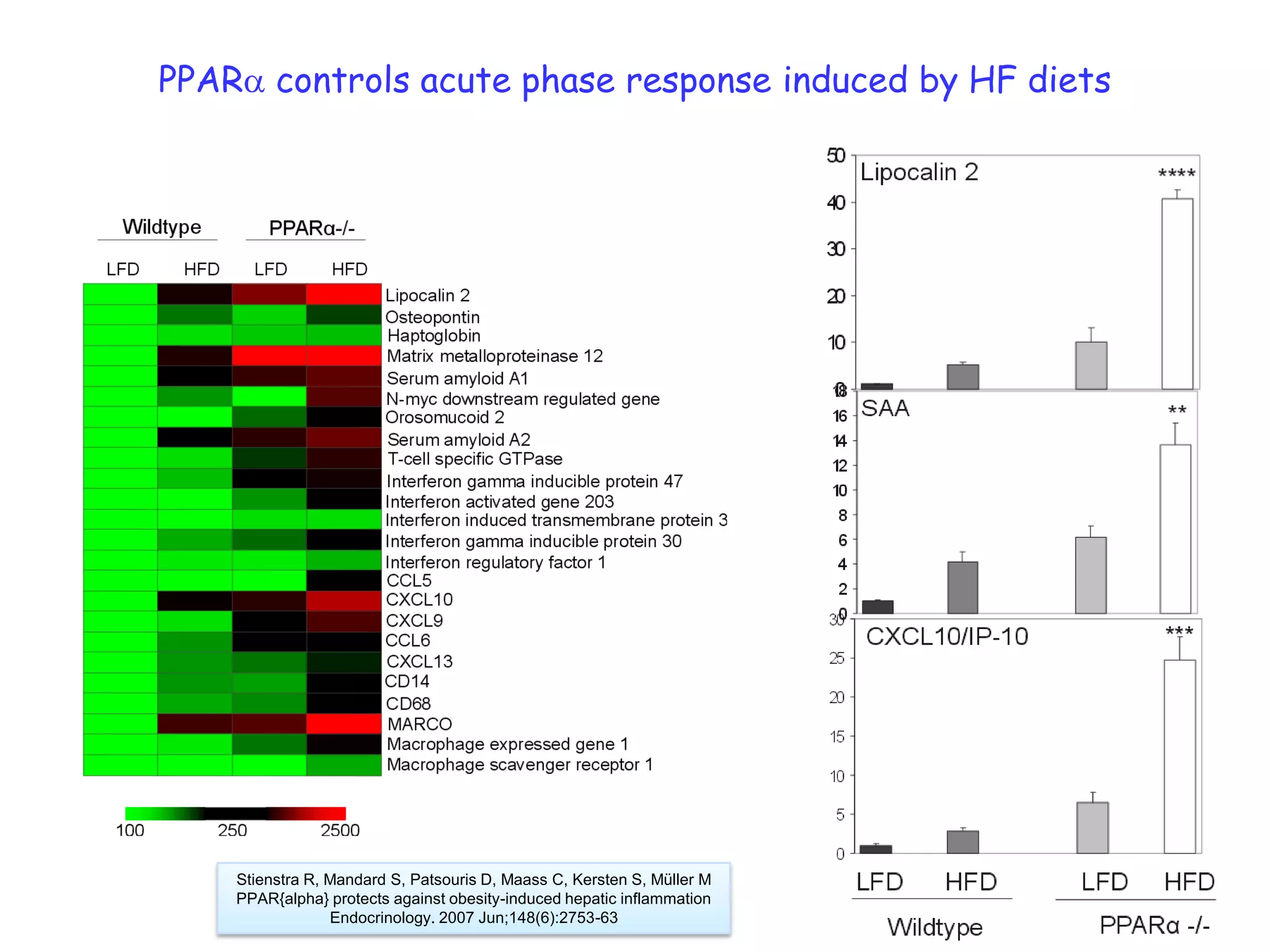 PPARa controls acute phase response induced by HF diets




    Stienstra R, Mandard S, Patsouris D, Maass C, Kersten S, Müller M
    PPAR{alpha} protects against obesity-induced hepatic inflammation
                 Endocrinology. 2007 Jun;148(6):2753-63
 