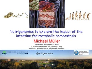 Nutrigenomics to explore the impact of the
   intestine for metabolic homeostasis
                 Michael Müller
                    Netherlands Nutrigenomics Centre
              & Nutrition, Metabolism and Genomics Group
           Division of Human Nutrition, Wageningen University


                    @nutrigenomics
 