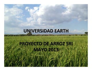 UNIVERSIDAD	
  EARTH	
  	
  
PROYECTO	
  DE	
  ARROZ	
  SRI	
  
MAYO	
  2013	
  
 