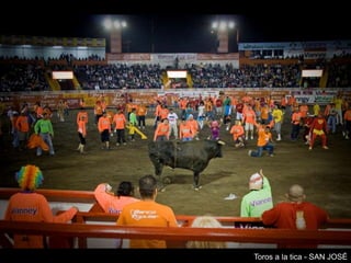 Toros a la tica - SAN JOSÉ
 