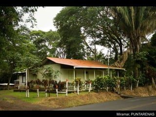 Miramar, PUNTARENAS
 