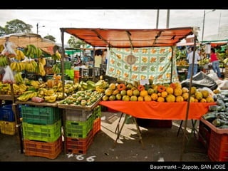 Bauermarkt – Zapote, SAN JOSÉ
 
