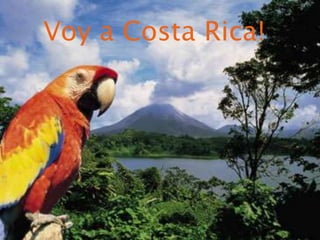 Y a Voy a Costa Rica! 
