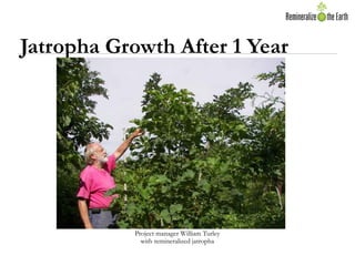 Jatropha Growth After 1 Year




           Project manager William Turley
             with remineralized jatropha
 