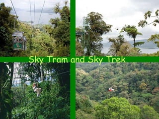 Sky Tram and Sky Trek 