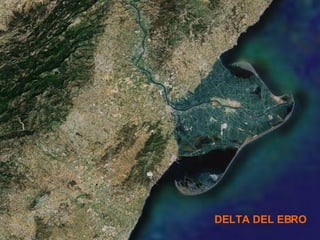 DELTA DEL EBRO