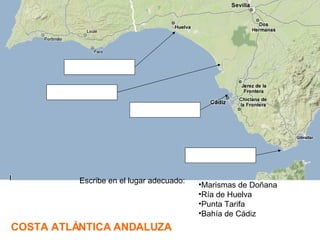 Marismas de Doñana Ría de Huelva Punta Tarifa Bahía de Cádiz COSTA ATLÁNTICA ANDALUZA Escribe en el lugar adecuado: