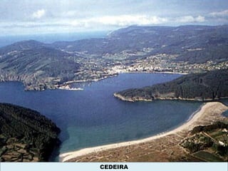 CEDEIRA
 