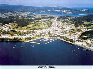 ORTIGUEIRA
 