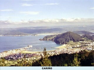CARIÑO
 