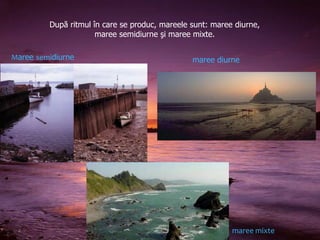 După ritmul în care se produc, mareele sunt: maree diurne,
maree semidiurne şi maree mixte.
Maree semidiurne

maree diurne

maree mixte

 