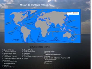 Mişcări de translație marina

Fig 3. Curentii oceanici
În Oceanul Atlantic :
C. Labrador Golfstream
C. Atlanticului de Nord
C. Floridei
C. Caraibelor C. Antilelor
C. Ecuatorial de Nord C. rece de
compensație
C. Guianelor al Canarelor
C. Ecuatorial contrar
C. Braziliei
C. Vânturilor de vest

În Oceanul Pacific
C. Pacificului de Nord
C. Kuro-Shio
C. Oya-Shio
C. Ecuatorial de Nord C. Californiei
C. Perului

În Oceanul Indian :
C. Musonic
C. Musonic de vară de iarnă
C. Somaliei
C. rece de vară al Somaliei Musonul de NE
C. Australiei de west
C. Madagascar
C. Mozambic

 