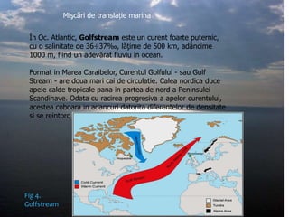 Mişcări de translație marina
În Oc. Atlantic, Golfstream este un curent foarte puternic,
cu o salinitate de 36÷37‰, lăţime de 500 km, adâncime
1000 m, fiind un adevărat fluviu în ocean.

Format in Marea Caraibelor, Curentul Golfului - sau Gulf
Stream - are doua mari cai de circulatie. Calea nordica duce
apele calde tropicale pana in partea de nord a Peninsulei
Scandinave. Odata cu racirea progresiva a apelor curentului,
acestea coboara in adancuri datorita diferentelor de densitate
si se reintorc spre sud.

Fig 4.
Golfstream

 