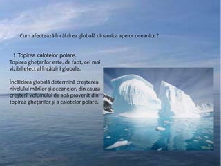 Cum afectează încălzirea globală dinamica apelor oceanice ?

1.Topirea calotelor polare.
Topirea ghețarilor este, de fapt, cel mai
vizibil efect al încălzirii globale.
Încălzirea globală determină creșterea
nivelului mărilor și oceanelor, din cauza
creșterii volumului de apă provenit din
topirea ghețarilor și a calotelor polare.

 